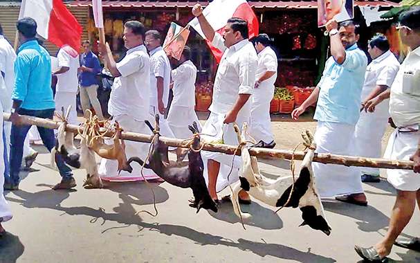 ಮೇನಕಾ ಗಾಂಧಿಗೆ ಅಂಚೆಯಲ್ಲಿ ಬೀದಿನಾಯಿ ಕಳಿಸಿದರು !